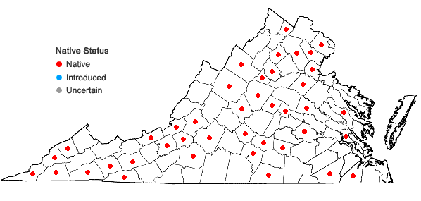 Locations ofRhizomnium punctatum (Hedw.) T.J. Kop. in Virginia