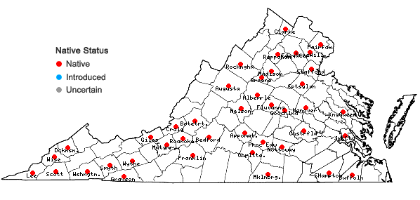 Locations ofRhizomnium punctatum (Hedw.) T.J. Kop. in Virginia