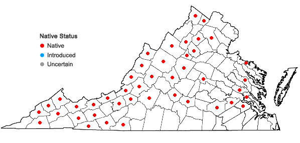 Locations ofRhodobryum ontariense (Kindb.) Kindb. in Virginia