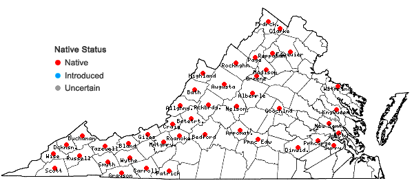 Locations ofRhodobryum ontariense (Kindb.) Kindb. in Virginia