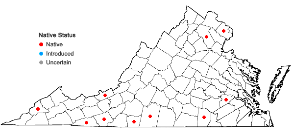 Locations ofRhododendron arborescens (Pursh) Torrey in Virginia