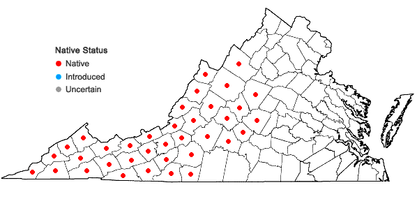 Locations ofRhododendron catawbiense Michx. in Virginia