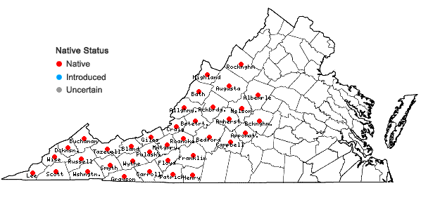 Locations ofRhododendron catawbiense Michx. in Virginia