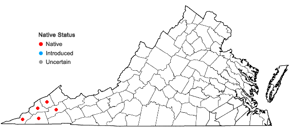 Locations ofRhododendron cumberlandense E.L. Braun in Virginia