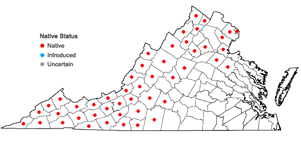 Locations ofRhododendron maximum L. in Virginia