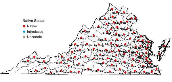 Locations ofRhododendron periclymenoides (Michx.) Shinners in Virginia