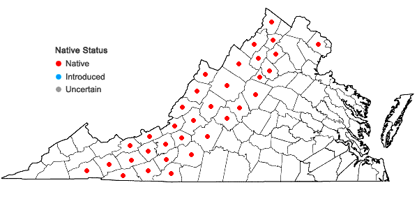 Locations ofRhododendron pilosum (Michx.) Craven in Virginia