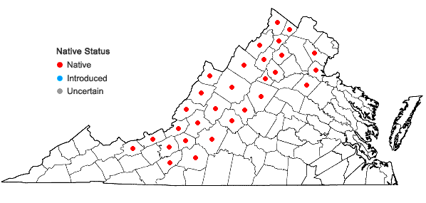 Locations ofRhododendron prinophyllum (Small) Millais in Virginia