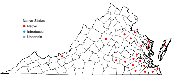 Locations ofRhododendron viscosum (L.) Torr. var. serrulatum (Small) H.E. Ahles in Virginia