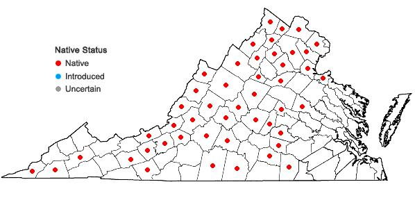 Locations ofRhus aromatica Aiton var. aromatica in Virginia