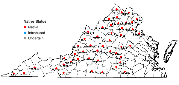 Locations ofRhus aromatica Aiton var. aromatica in Virginia