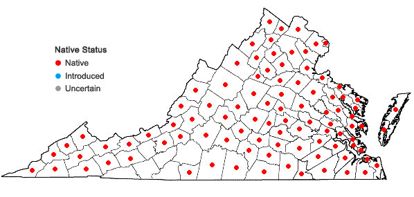 Locations ofRhus copallinum L. var. latifolia Engler in Virginia