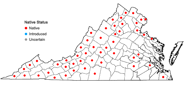 Locations ofRhus typhina L. in Virginia