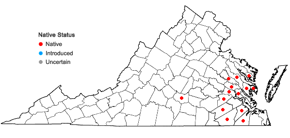 Locations ofRhynchosia difformis (Ell.) DC. in Virginia