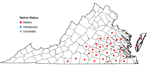 Locations ofRhynchosia tomentosa (L.) Hook. & Arnott in Virginia
