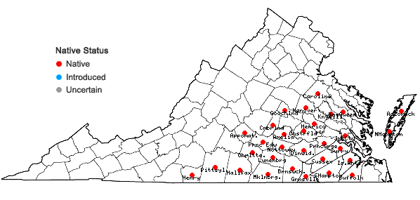 Locations ofRhynchosia tomentosa (L.) Hook. & Arnott in Virginia