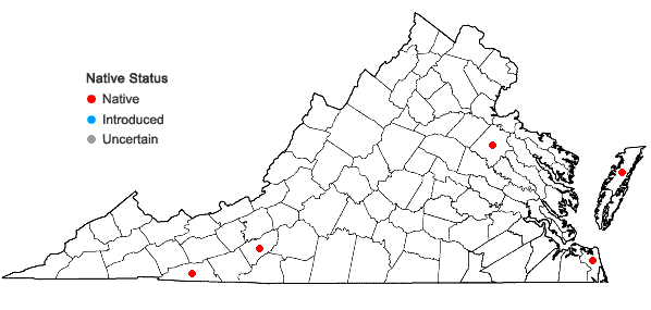 Locations ofRhynchospora alba (L.) Vahl in Virginia