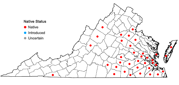 Locations ofRhynchospora chalarocephala Fernald and Gale in Virginia