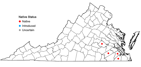 Locations ofRhynchospora distans (Michx.) Vahl. in Virginia