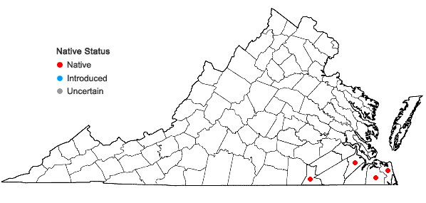 Locations ofRhynchospora fascicularis (Michaux) Vahl in Virginia