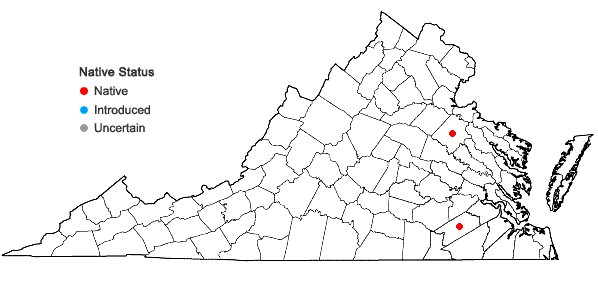 Locations ofRhynchospora filifolia Gray in Virginia