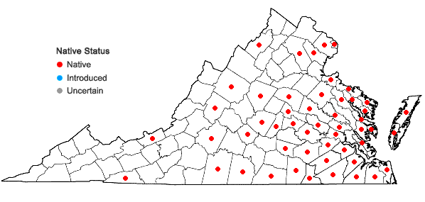 Locations ofRhynchospora glomerata (L.) Vahl in Virginia