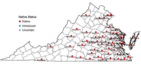 Locations ofRhynchospora glomerata (L.) Vahl in Virginia