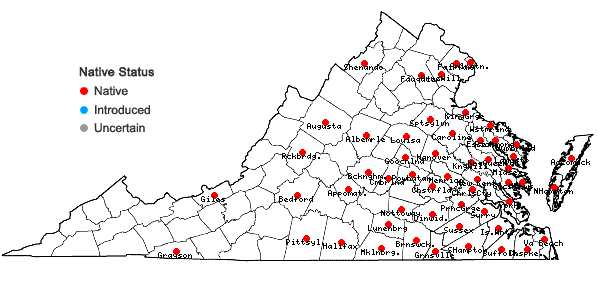 Locations ofRhynchospora glomerata (L.) Vahl in Virginia