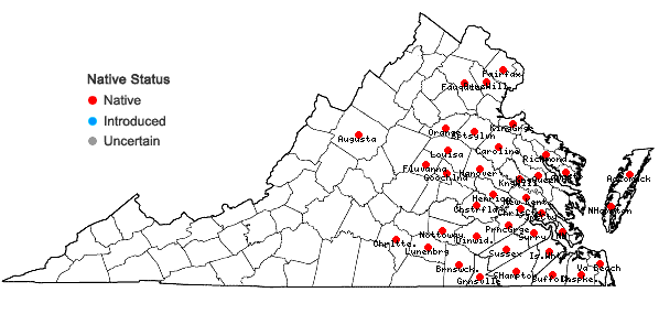 Locations ofRhynchospora gracilenta Gray in Virginia