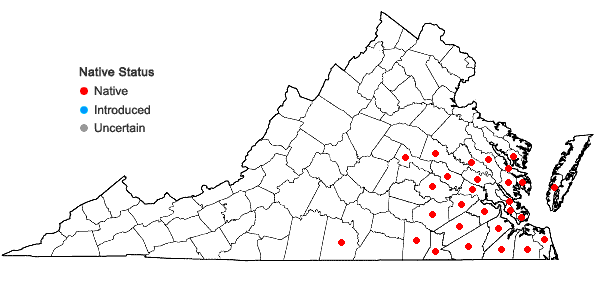Locations ofRhynchospora inexpansa (Michaux) Vahl in Virginia