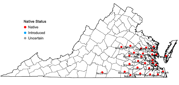 Locations ofRhynchospora inexpansa (Michaux) Vahl in Virginia