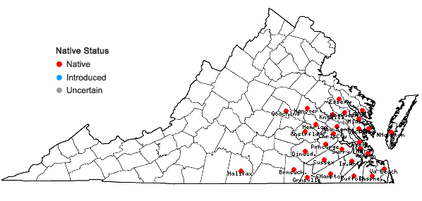 Locations ofRhynchospora inexpansa (Michaux) Vahl in Virginia