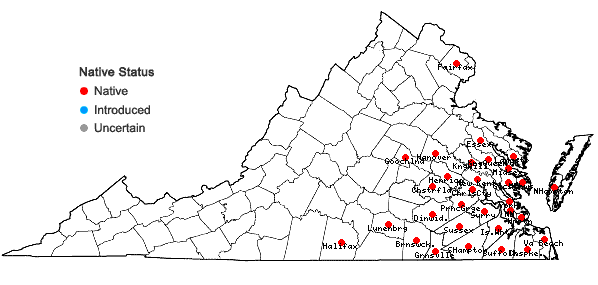 Locations ofRhynchospora inexpansa (Michaux) Vahl in Virginia