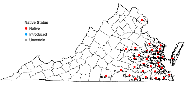 Locations ofRhynchospora inexpansa (Michaux) Vahl in Virginia