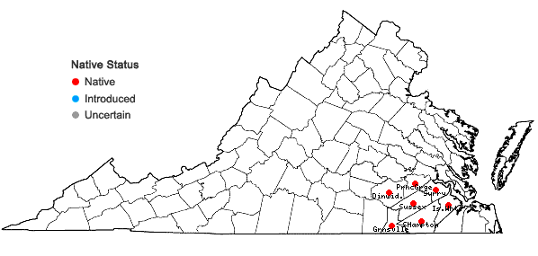 Locations ofRhynchospora perplexa Britton in J.K. Small in Virginia