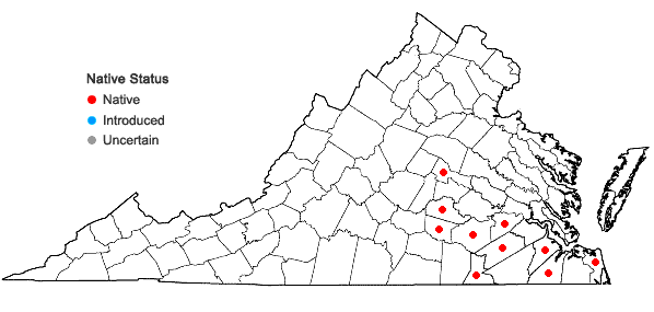 Locations ofRhynchospora rariflora (Michaux) Elliott in Virginia