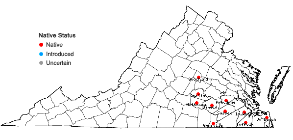 Locations ofRhynchospora rariflora (Michaux) Elliott in Virginia