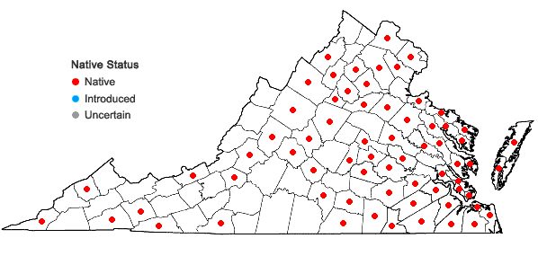 Locations ofRhynchostegium serrulatum (Hedw.) A. Jaeger in Virginia