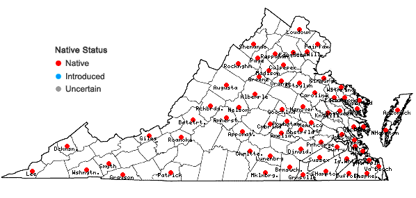 Locations ofRhynchostegium serrulatum (Hedw.) A. Jaeger in Virginia