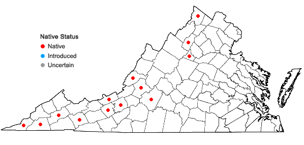 Locations ofRhytidium rugosum (Hedw.) Kindb. in Virginia