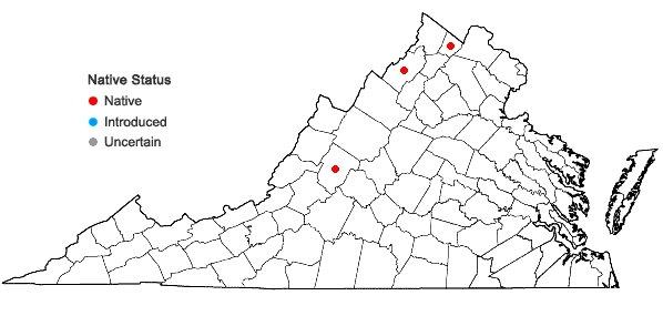 Locations ofRibes americanum P.Mill. in Virginia