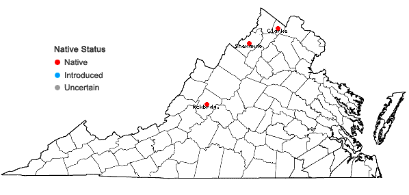 Locations ofRibes americanum P.Mill. in Virginia