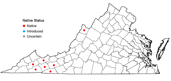Locations ofRibes glandulosum Grauer in Virginia