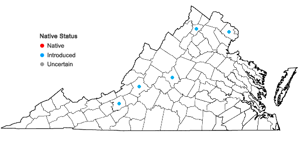 Locations ofRibes missouriense Nutt. in Virginia