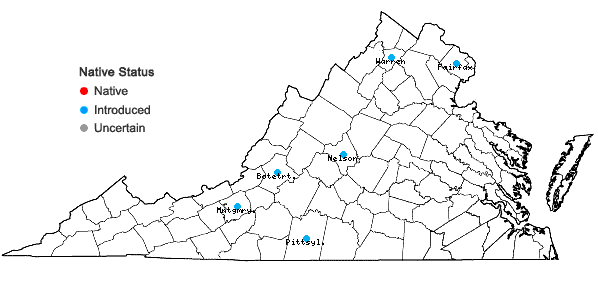 Locations ofRibes missouriense Nutt. in Virginia