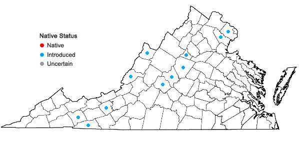 Locations ofRibes rubrum L. in Virginia