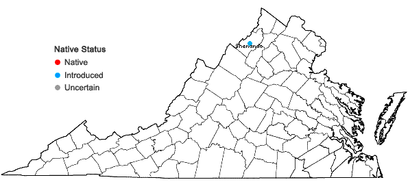Locations ofRibes uva-crispa var. sativum DC in Virginia