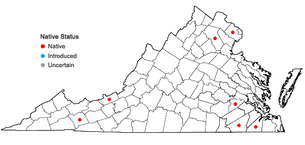 Locations ofRiccardia chamedryfolia (With.) Grolle in Virginia