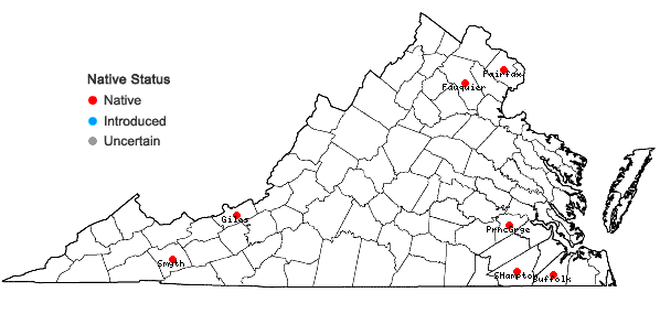 Locations ofRiccardia chamedryfolia (With.) Grolle in Virginia