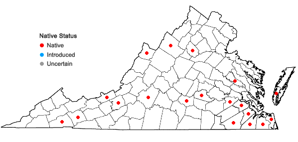 Locations ofRiccardia multifida (L.) Gray in Virginia